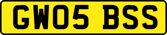 GW05BSS
