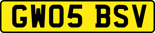GW05BSV