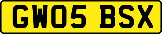 GW05BSX