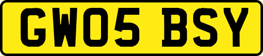 GW05BSY