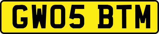 GW05BTM