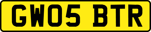 GW05BTR