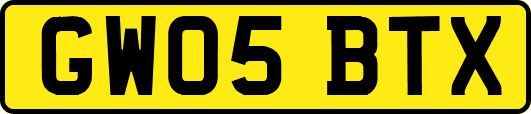 GW05BTX