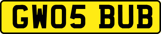 GW05BUB
