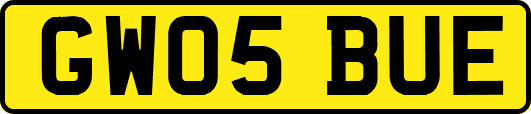 GW05BUE