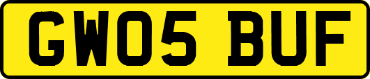 GW05BUF
