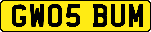 GW05BUM