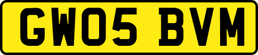 GW05BVM