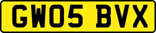 GW05BVX