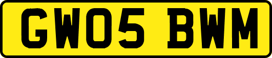 GW05BWM
