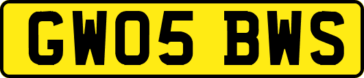 GW05BWS
