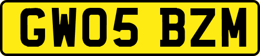 GW05BZM