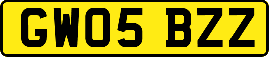 GW05BZZ