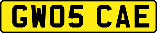 GW05CAE