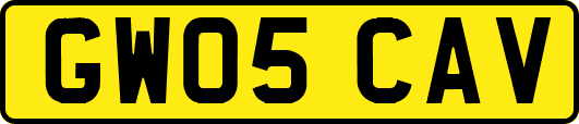 GW05CAV