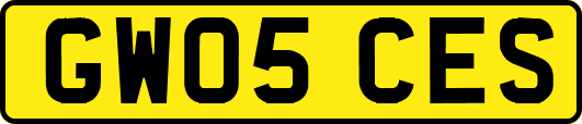 GW05CES