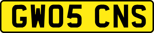 GW05CNS