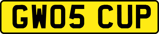 GW05CUP