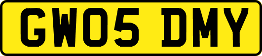 GW05DMY