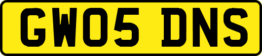 GW05DNS