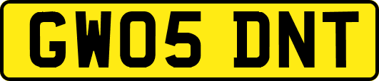 GW05DNT