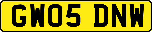 GW05DNW