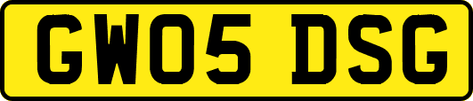 GW05DSG