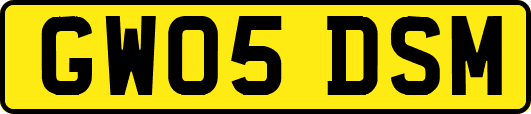 GW05DSM