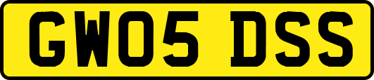 GW05DSS