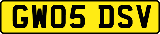 GW05DSV