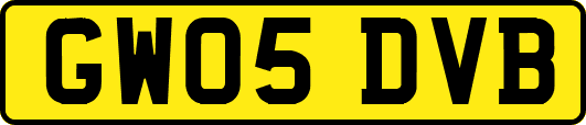 GW05DVB