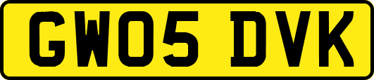 GW05DVK