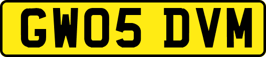 GW05DVM