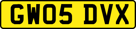 GW05DVX