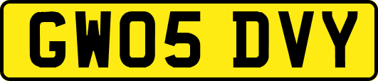 GW05DVY