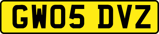 GW05DVZ