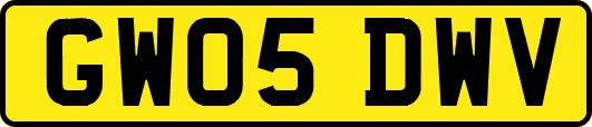 GW05DWV