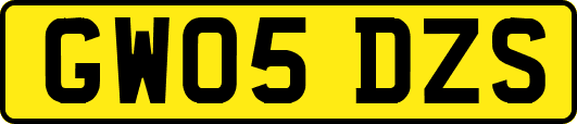 GW05DZS