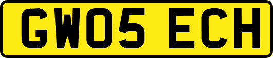 GW05ECH