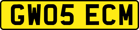 GW05ECM