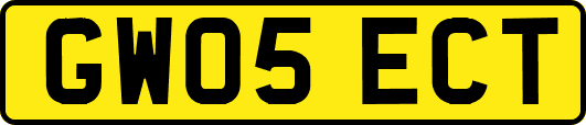 GW05ECT