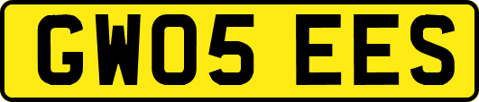 GW05EES