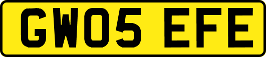 GW05EFE