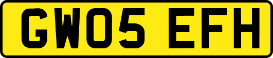 GW05EFH
