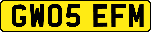 GW05EFM