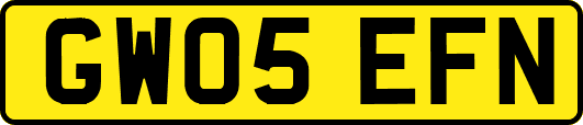 GW05EFN