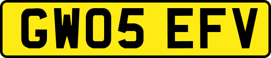 GW05EFV
