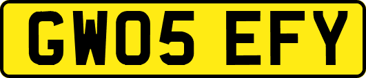 GW05EFY