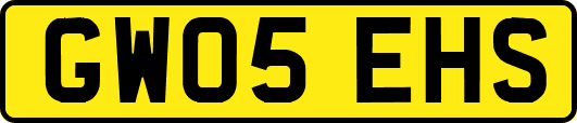 GW05EHS