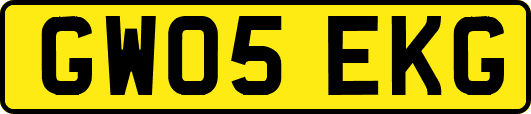 GW05EKG
